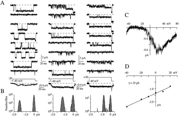 Fig. 2.