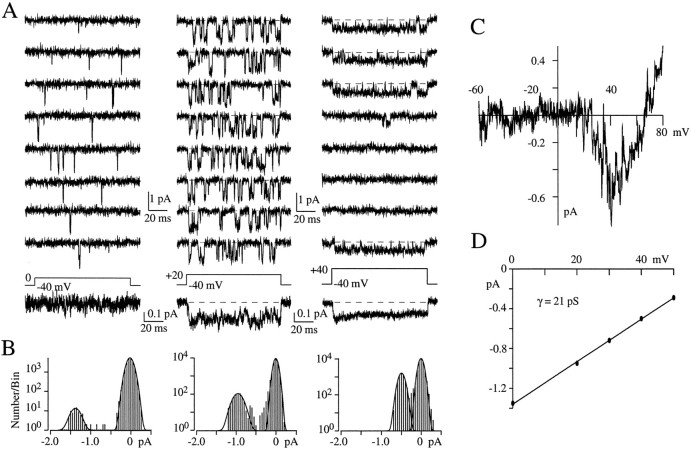 Fig. 1.