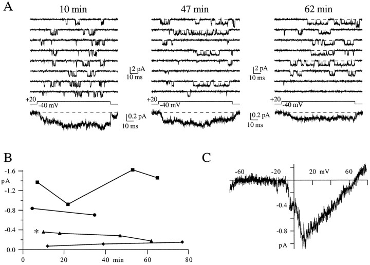 Fig. 7.