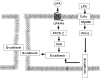 FIGURE 11.