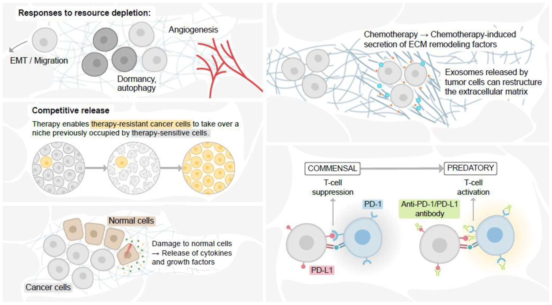 FIGURE 3 |