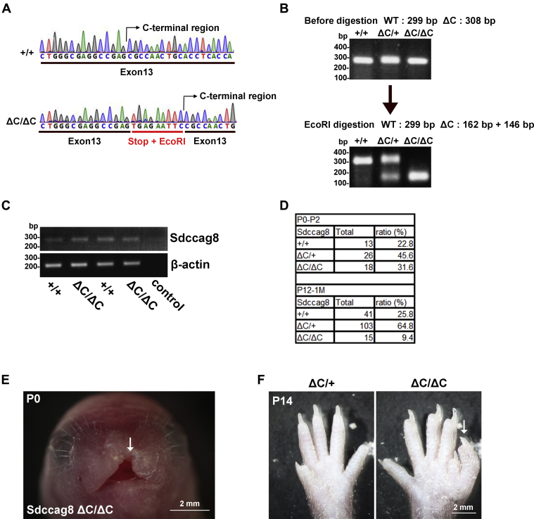 Figure 4