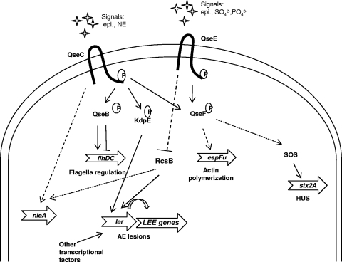 Fig 9