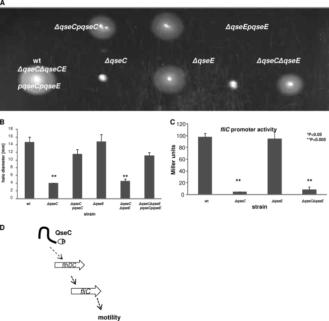 Fig 8