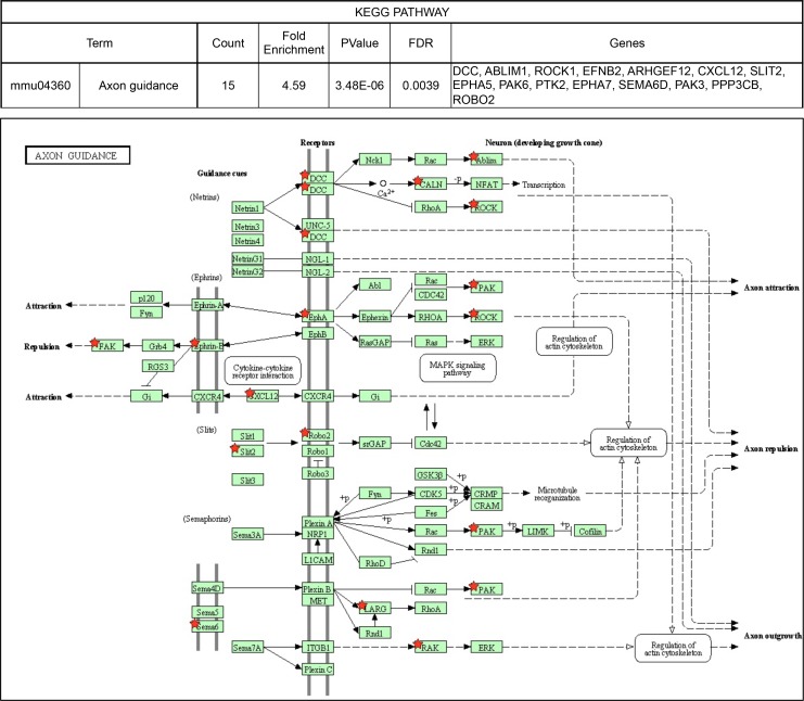 Figure 3—figure supplement 2.