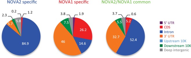 Figure 2—figure supplement 2.