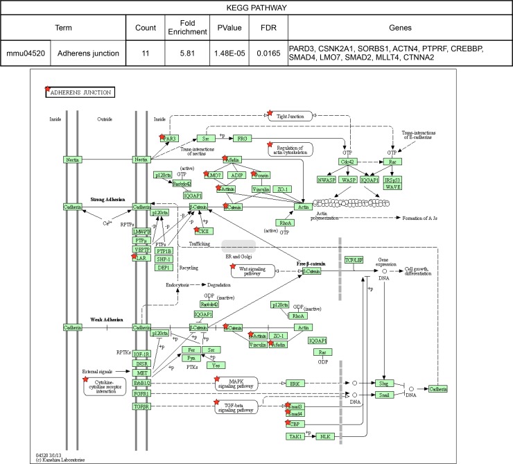 Figure 3—figure supplement 3.