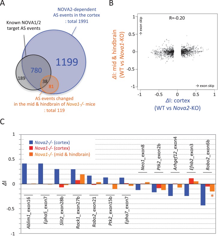 Figure 3—figure supplement 4.