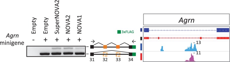 Figure 2—figure supplement 1.