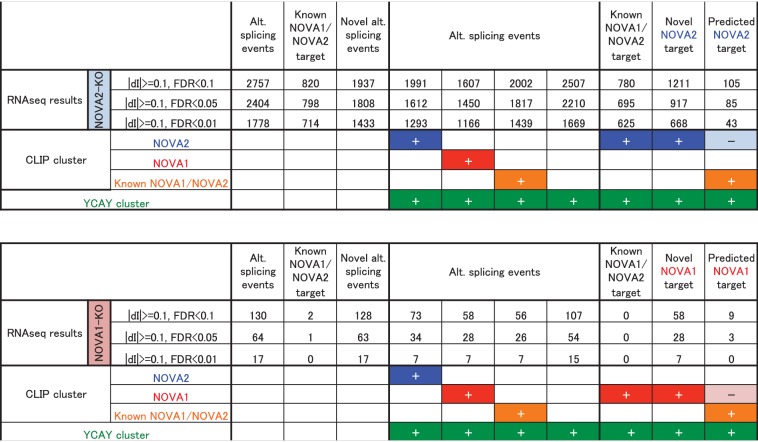 Figure 3—figure supplement 1.