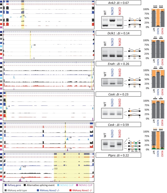 Figure 6—figure supplement 3.