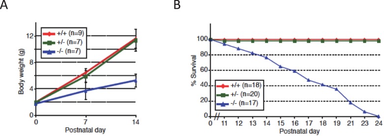 Figure 1—figure supplement 1.