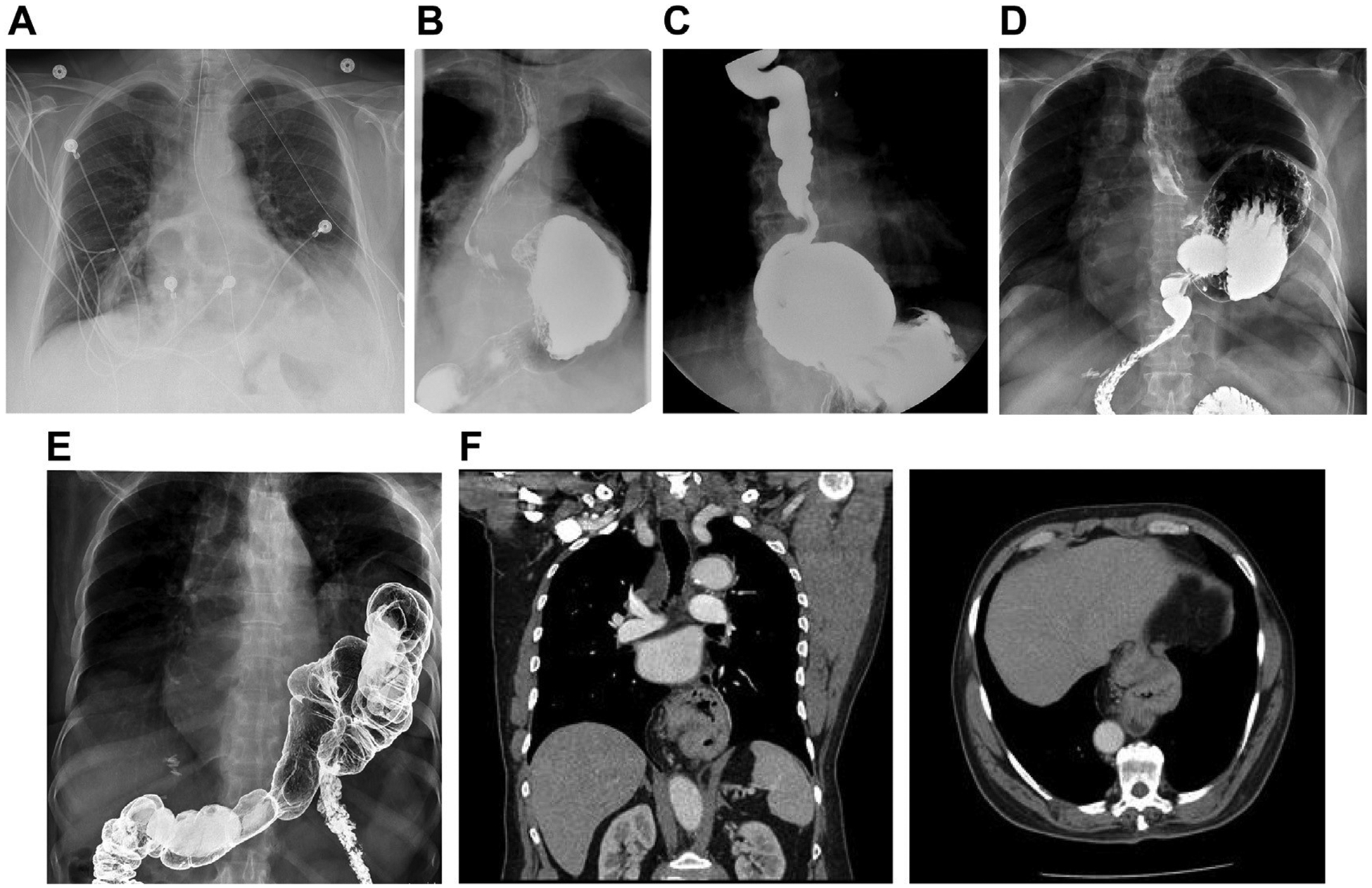 Fig. 3.