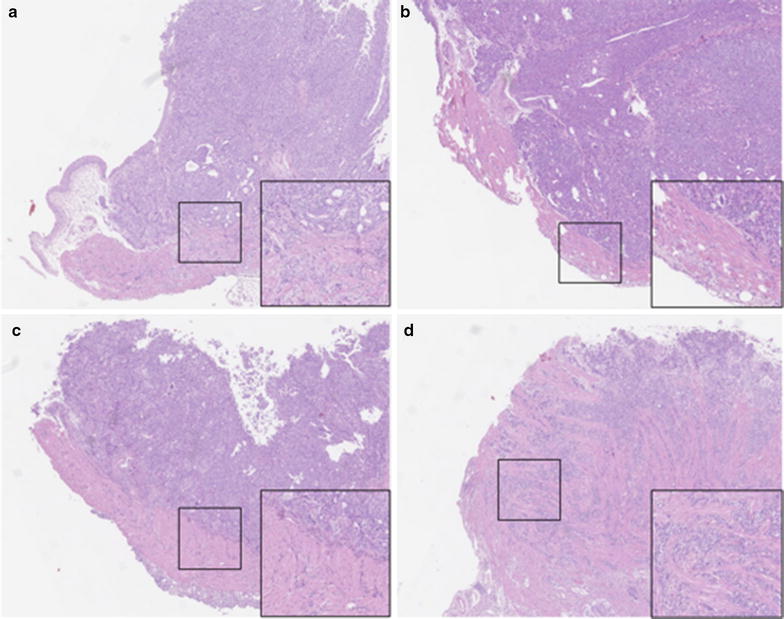 Fig. 4