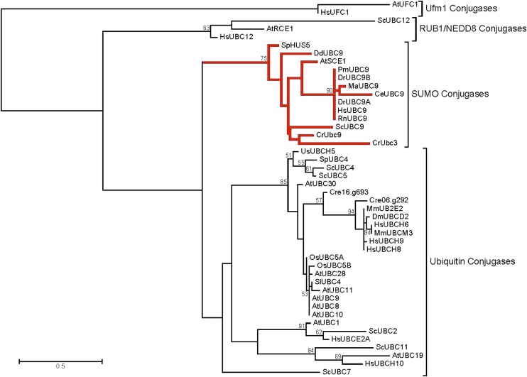 Figure 3.