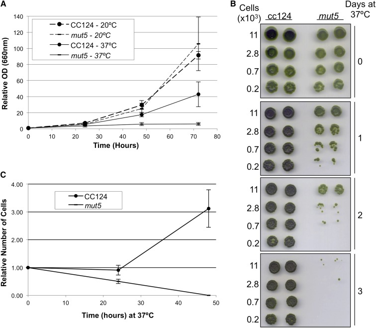 Figure 4.