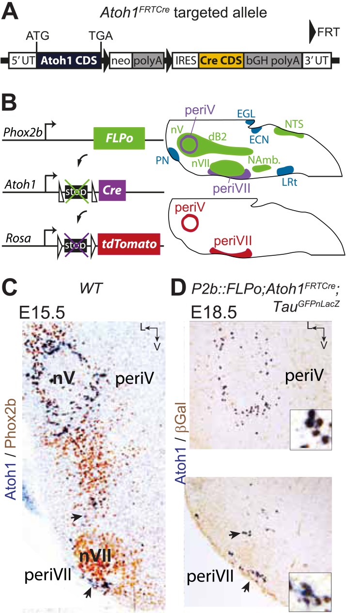 Figure 4.