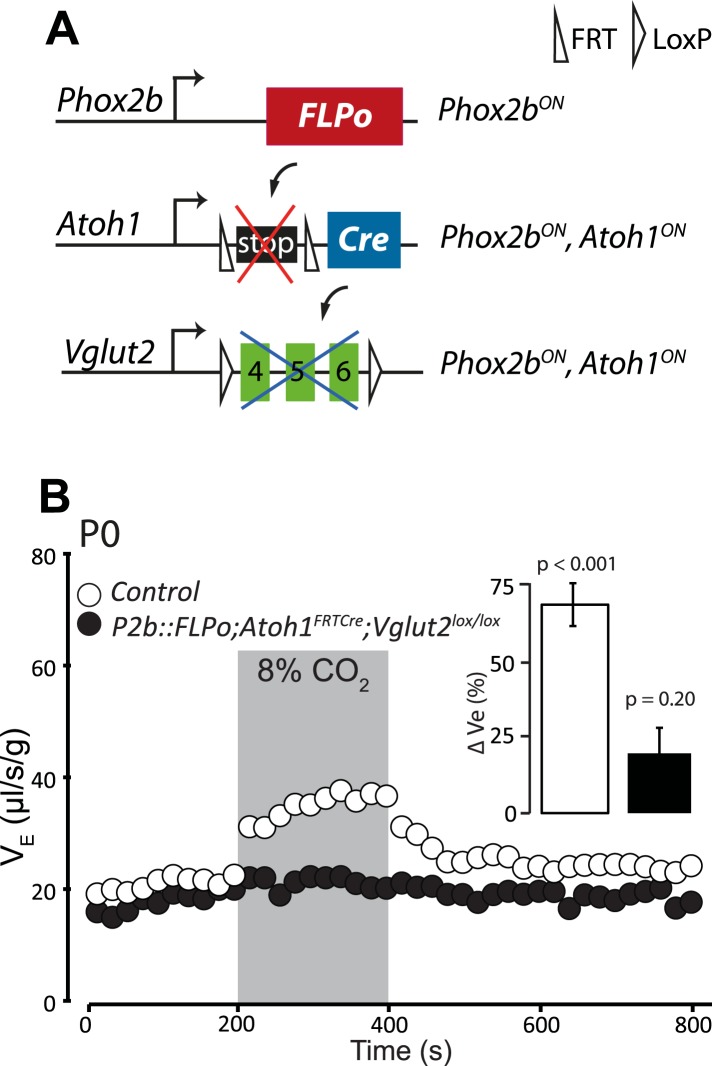 Figure 12.