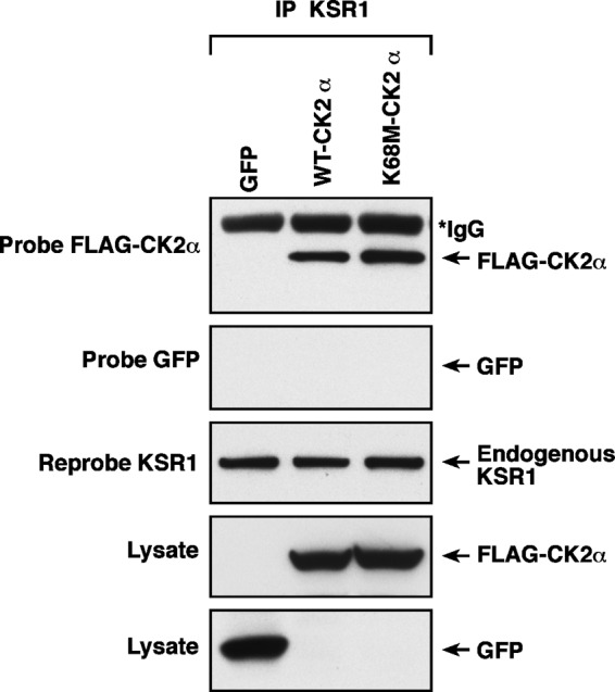 FIGURE 7.