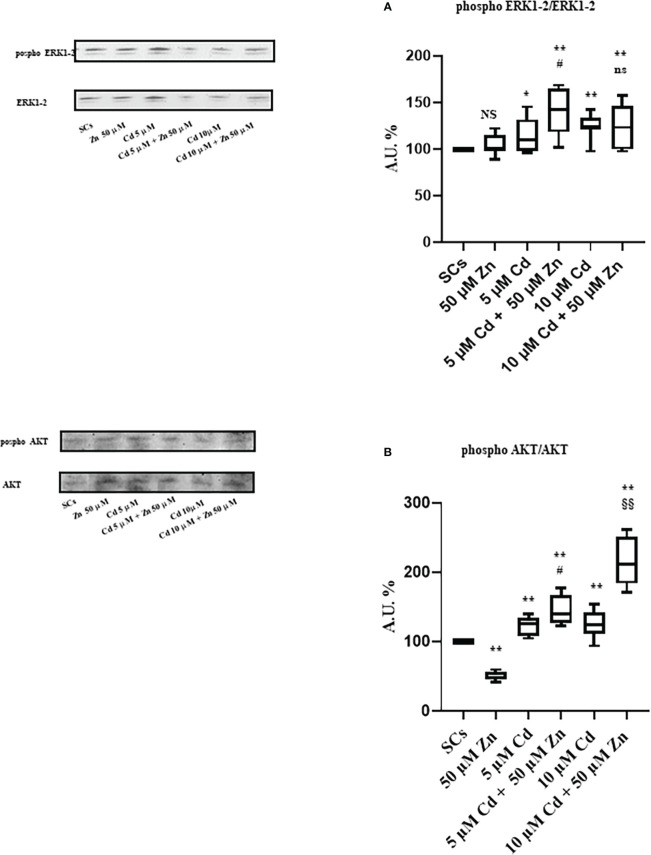 Figure 10