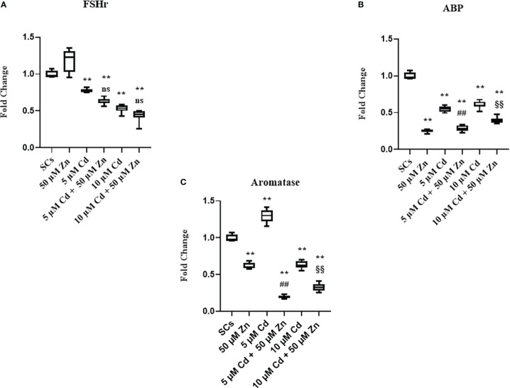 Figure 7