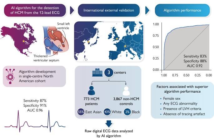 Graphical Abstract