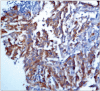 Figure 4B