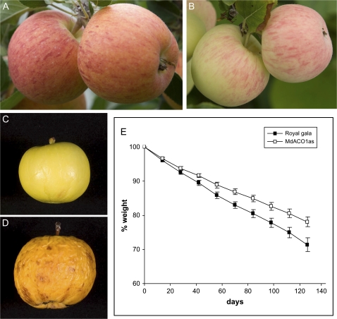 Fig. 2.