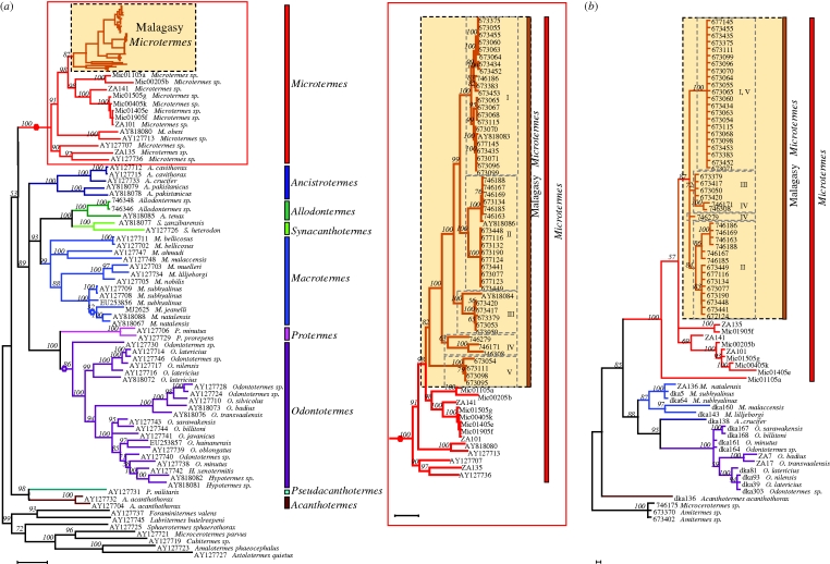 Figure 1.