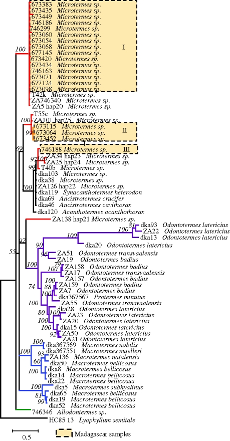 Figure 2.