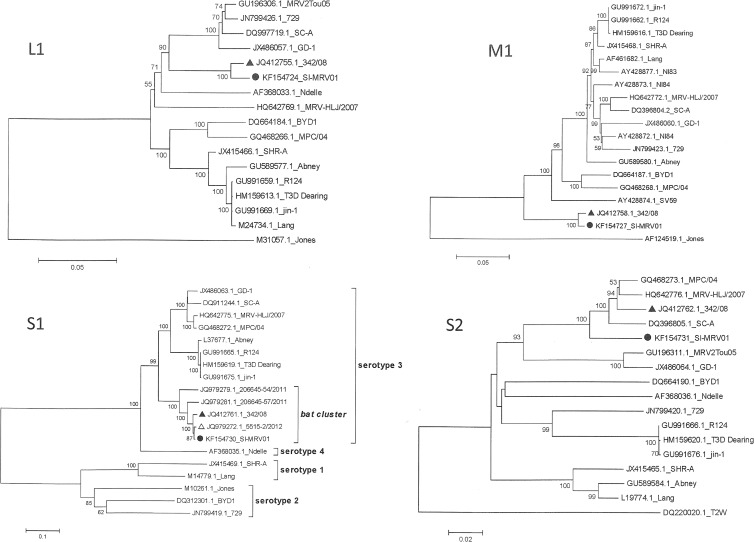 Fig 3