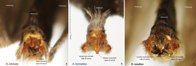 Figure 61.