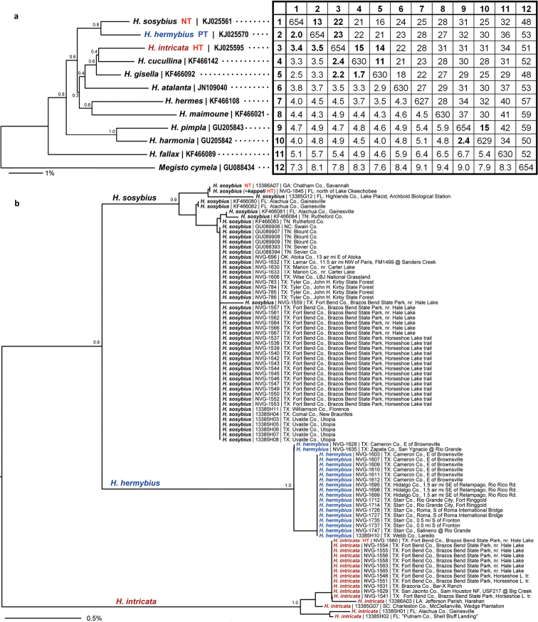 Figure 66.