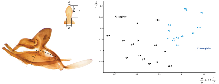 Figure 63.