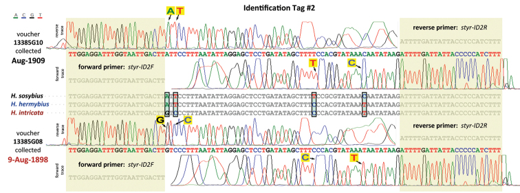 Figure 65.