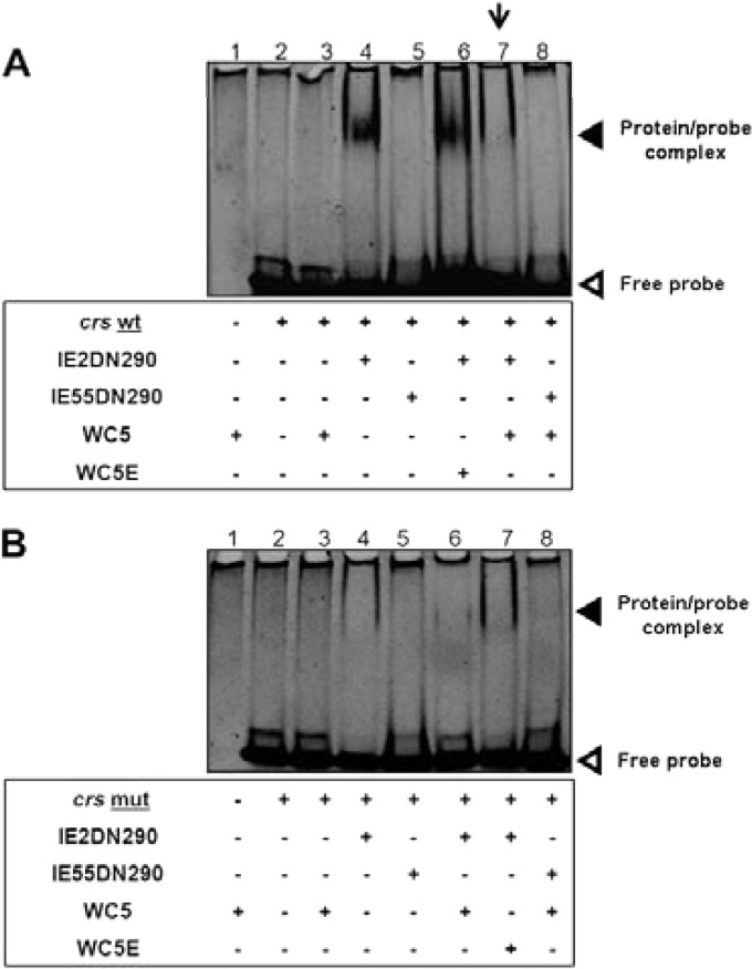 FIG 4