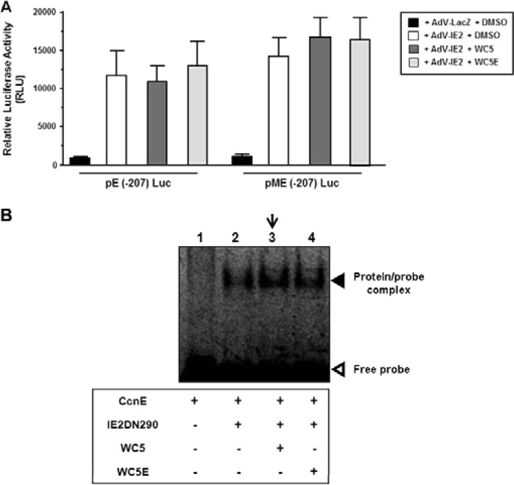 FIG 6