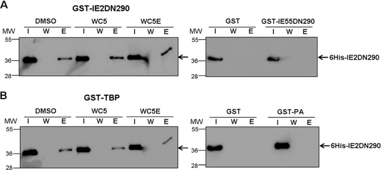 FIG 1