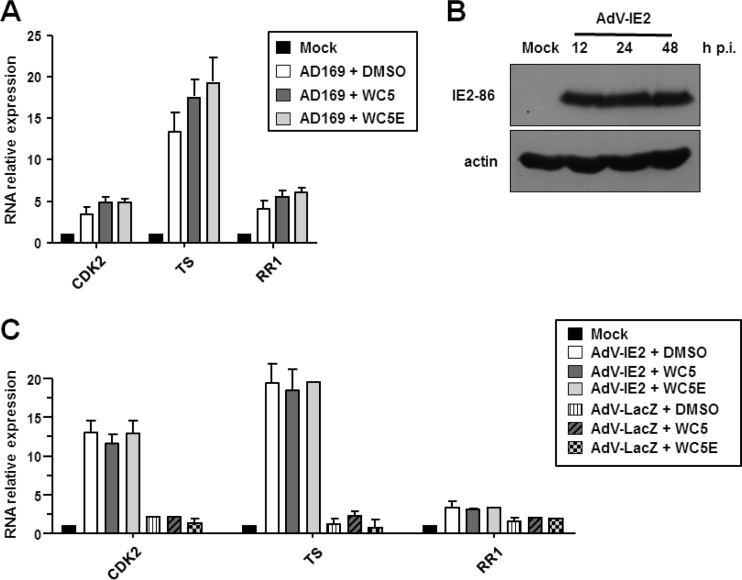 FIG 2