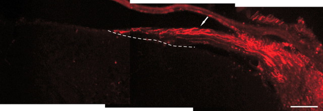  Figure 9. 