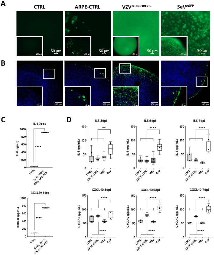 Figure 3