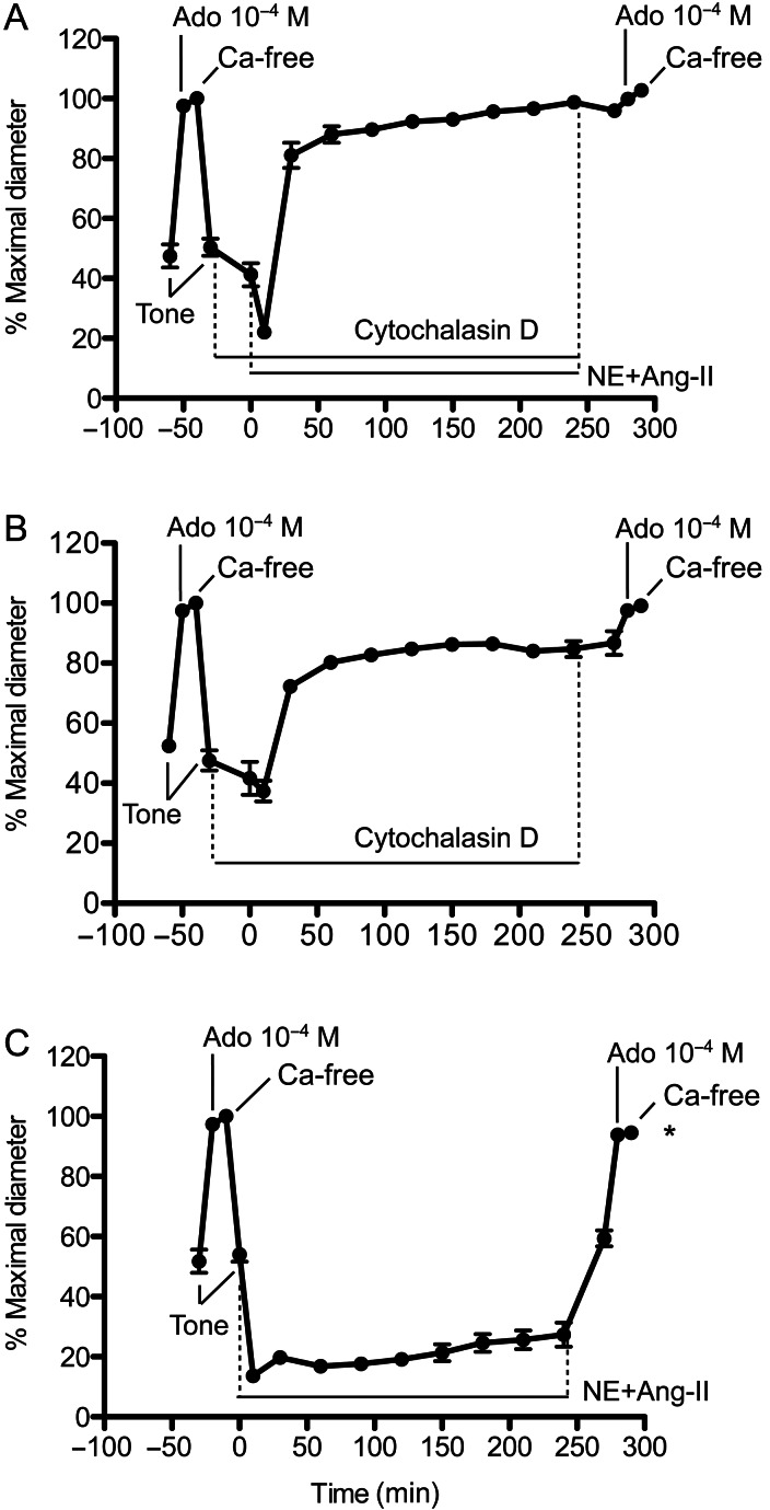 Figure 3