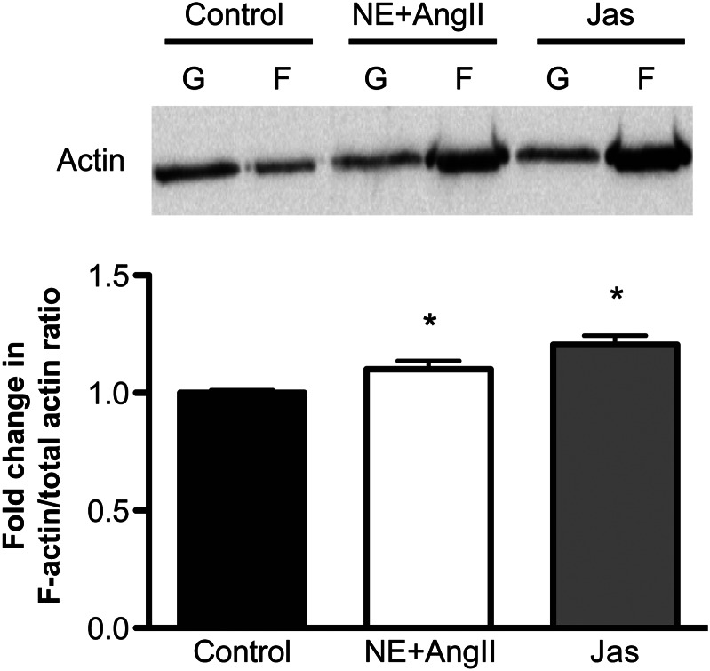 Figure 5