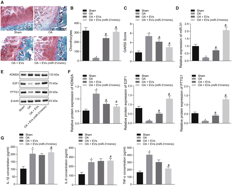 Figure 6