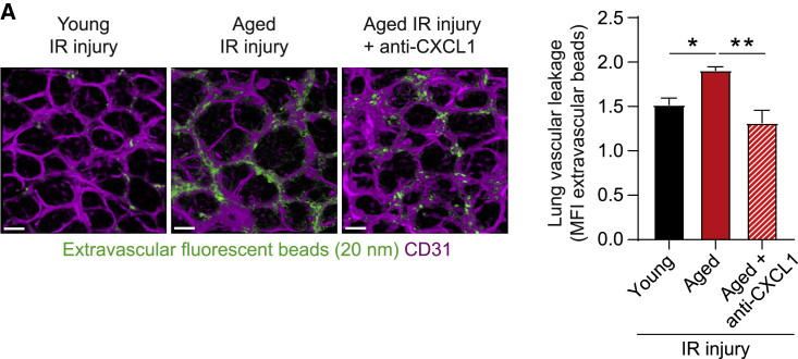 Figure 7