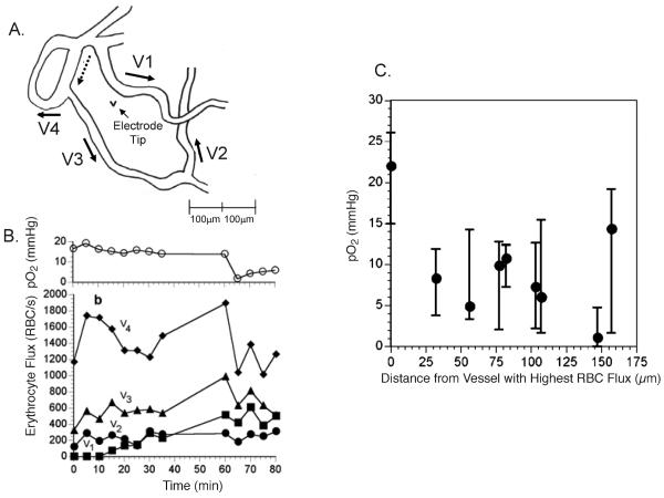 FIG. 1