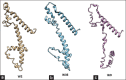 Figure-7