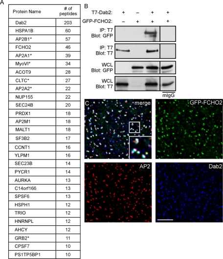 FIGURE 1: