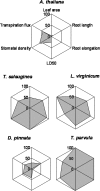 Fig. 11.