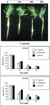Fig. 10.